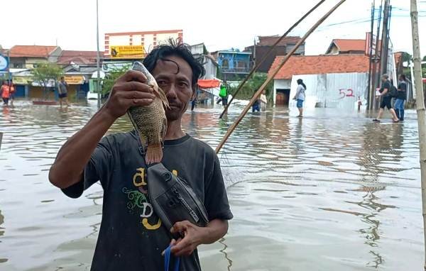 Kisah Warga Kota Semarang Panen Ikan Nila Dikala Musibah Banjir